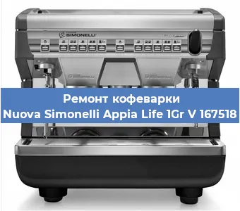 Замена прокладок на кофемашине Nuova Simonelli Appia Life 1Gr V 167518 в Красноярске